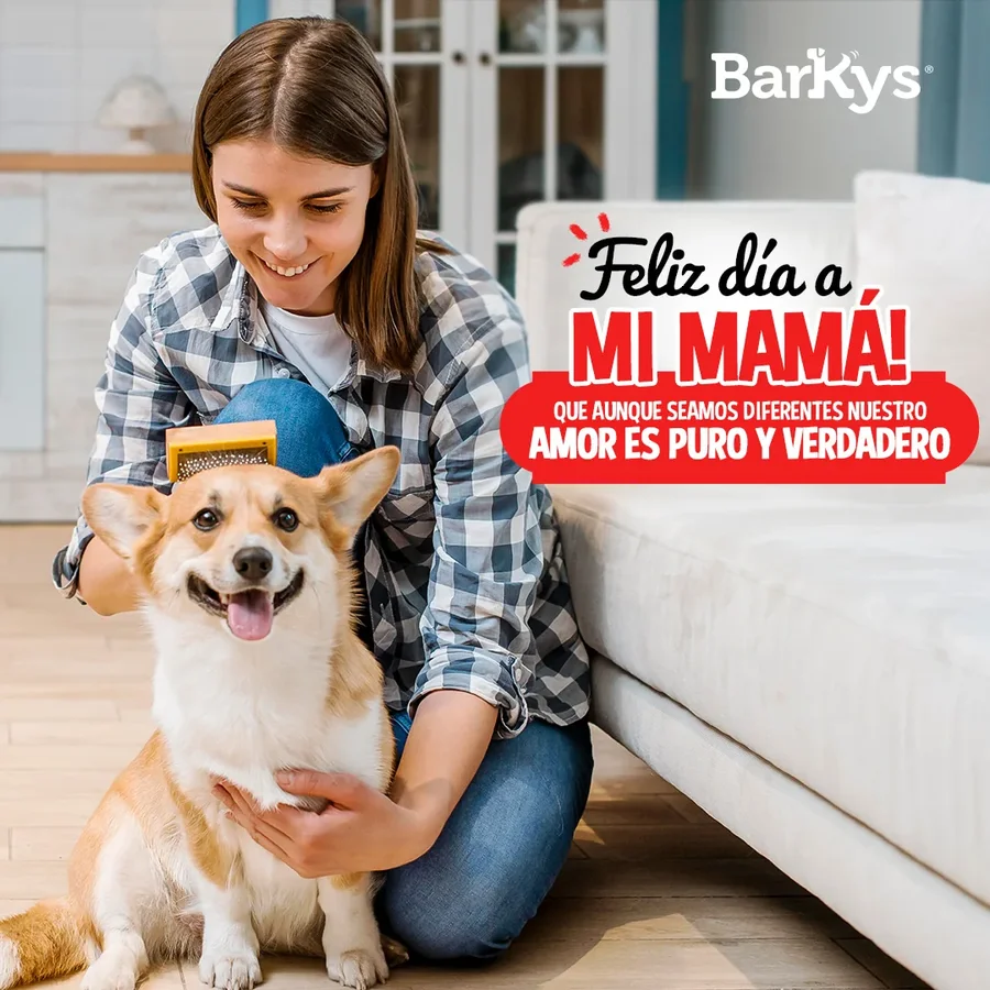 Barkys
