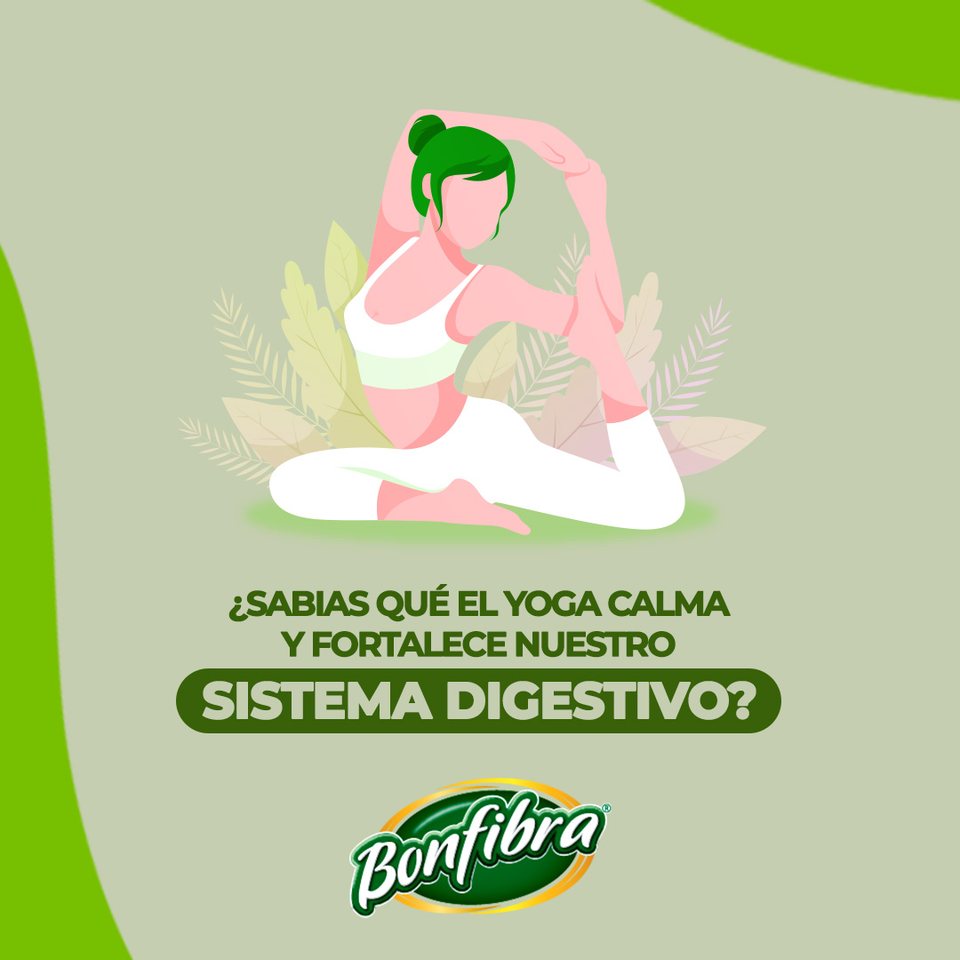 Pieza 2 de 4, el yoga y el sistema digestivo
