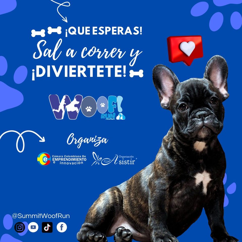 «¡Qué esperas! Sal a correr y diviértete»
