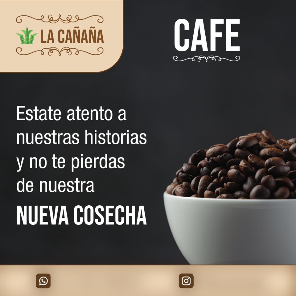 Café sobre fondo oscuro, invitando a seguir las historias de la nueva cosecha