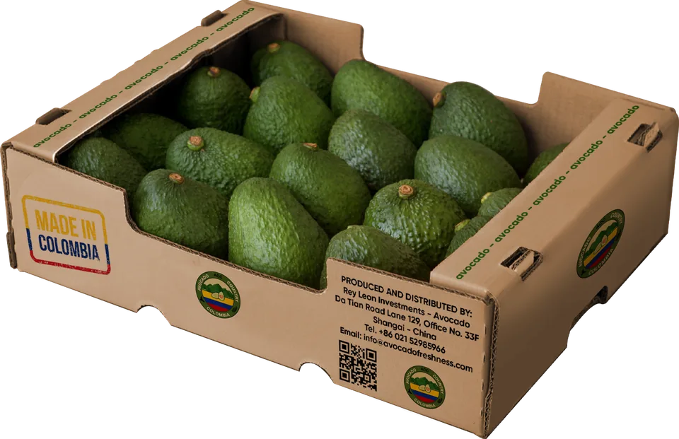 Caja de exportación de aguacate fresco Avocado Country Colombia.