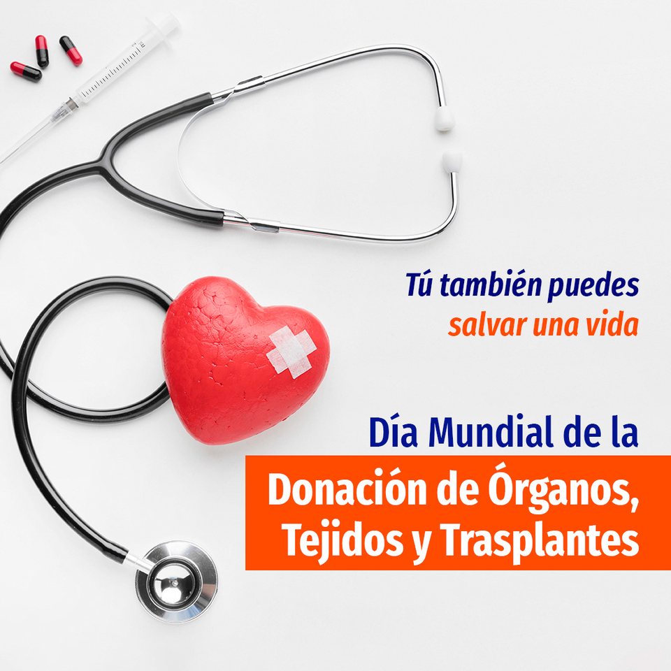 Dia Mundial de la Donacion de Organos: estetoscopio y corazon de juguete sobre blanco, con el titular en un bloque naranja