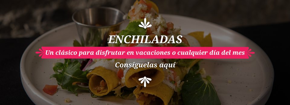 Enchiladas, un clásico para disfrutar en vacaciones o cualquier día del mes